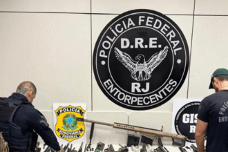 Armas apreendidas em furgão na Rodovia Presidente Dutra