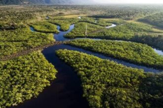 Áreas de conservação ambiental no Amazonas
