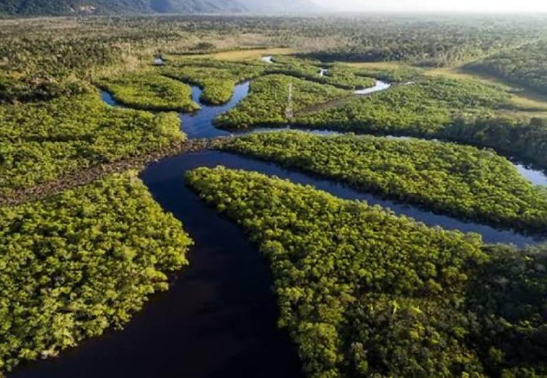 Áreas de conservação ambiental no Amazonas