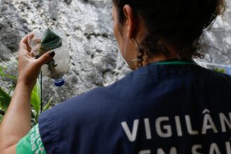 Atendimento relacionado à dengue em São Paulo