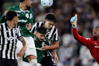 Soccer Football - Brasileiro Championship - Botafogo v Palmeiras - Estadio Nilton Santos, Rio de Janeiro, Brazil - September 6, 2026 Botafogo's Nahuel Ferraresi in action with Palmeiras' Carlos Eduardo REUTERS/Ricardo Moraes