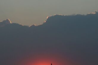 Vista aérea de área afetada por seca e altas temperaturas na Europa
