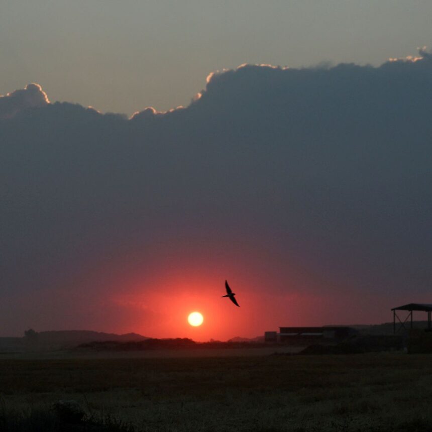 Vista aérea de área afetada por seca e altas temperaturas na Europa