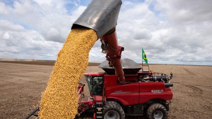 Colheitadeira trabalhando em lavoura de soja no Brasil