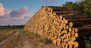 Fábrica e operação de produção de celulose da Suzano