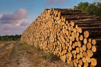 Fábrica e operação de produção de celulose da Suzano