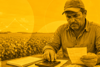 Agronegócio brasileiro e crédito rural