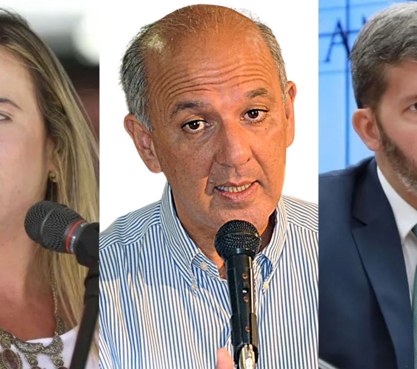 Celina Leão durante disputa pelo governo do Distrito Federal