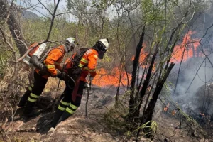 Raio provoca incêndio em área de difícil acesso na Chapada dos Veadeiros