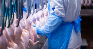 Carne bovina brasileira sendo inspecionada em frigorífico