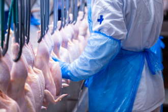 Carne bovina brasileira sendo inspecionada em frigorífico