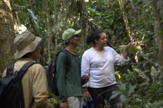 Pesquisadores em área de floresta degradada no Acre