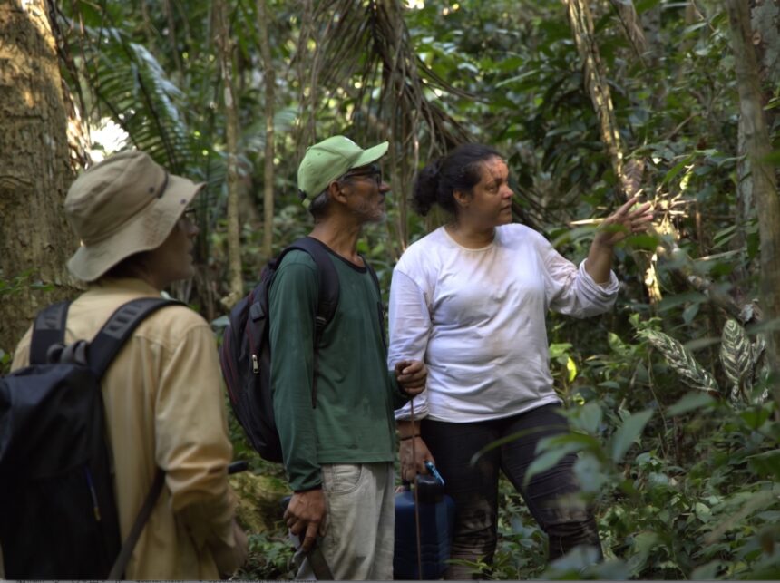 Pesquisadores em área de floresta degradada no Acre