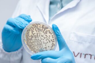 Insumos biológicos para a agricultura