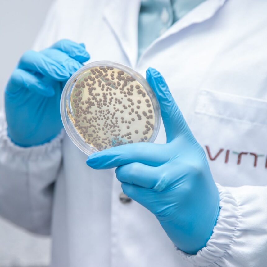 Insumos biológicos para a agricultura