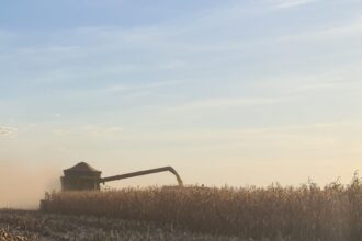 Cédulas de Produto Rural concentram crédito da safra 2026/27