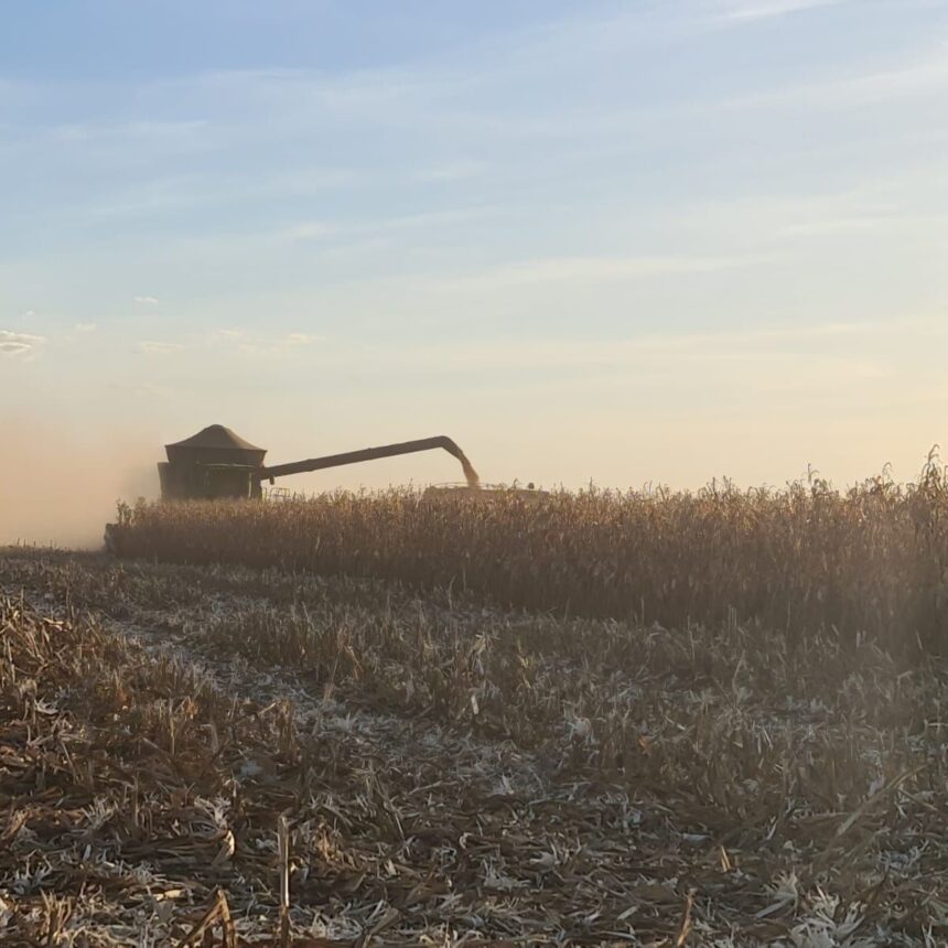 Cédulas de Produto Rural concentram crédito da safra 2026/27