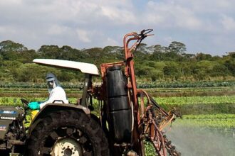Máquina agrícola faz a pulverização com agrotóxicos em plantação de alface, em Mogi das Cruzes, na região metropolitana de São Paulo