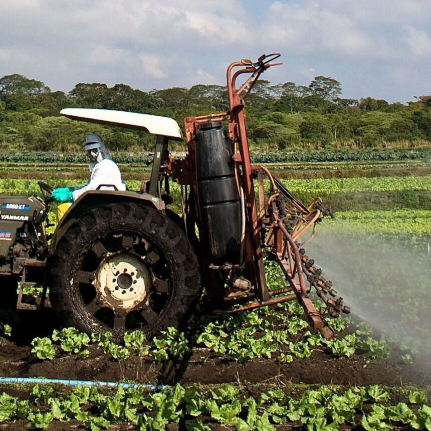 Máquina agrícola faz a pulverização com agrotóxicos em plantação de alface, em Mogi das Cruzes, na região metropolitana de São Paulo