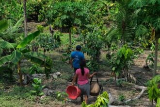04/09/2026 - Da Amazônia ao Chaco, América Latina tem desafios com secas e clima Jovens e indígenas cobram respostas para além da COP da Desertificação. Foto: Associação Intercultural Bari Wesna