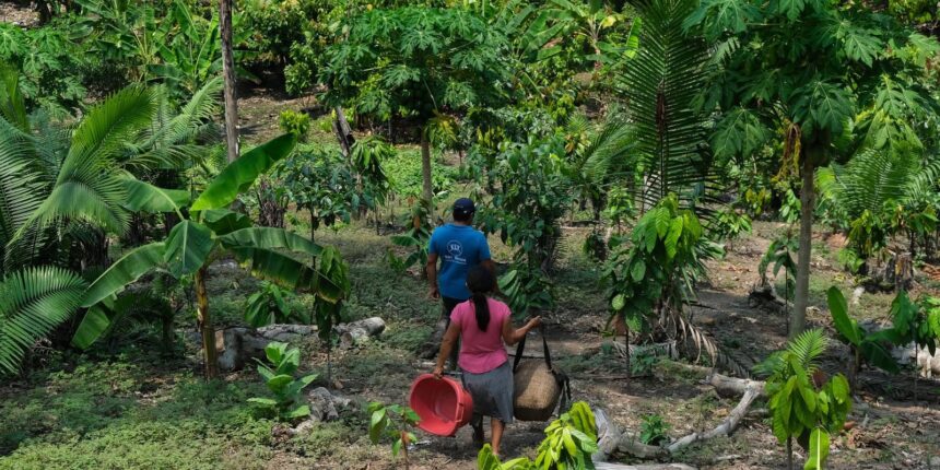 04/09/2026 - Da Amazônia ao Chaco, América Latina tem desafios com secas e clima Jovens e indígenas cobram respostas para além da COP da Desertificação. Foto: Associação Intercultural Bari Wesna