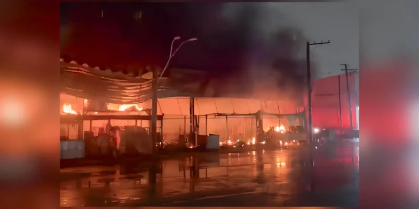 São Paulo (SP), 06/09/2026 - Incêndio atinge pavilhão de frutas no Ceagesp. Foto: Camera de segurança Ceagesp.
