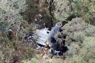 Destroços de helicóptero em área de mata