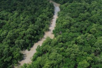 Cobra cenográfica usada na Virada Cultural Amazônia de Pé