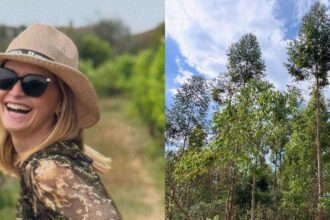 Fazenda Nosso Vilarejo, projeto de café de Fernanda Rodrigues
