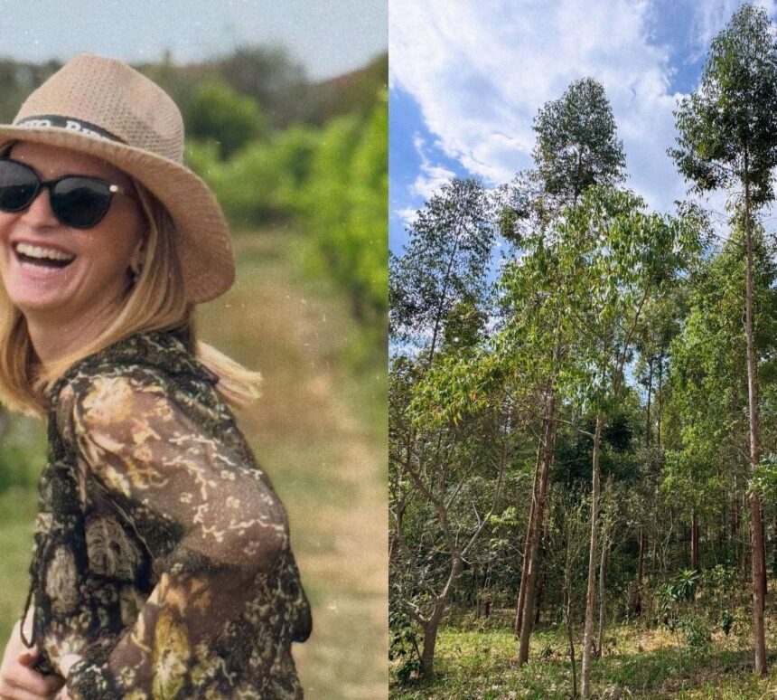 Fazenda Nosso Vilarejo, projeto de café de Fernanda Rodrigues