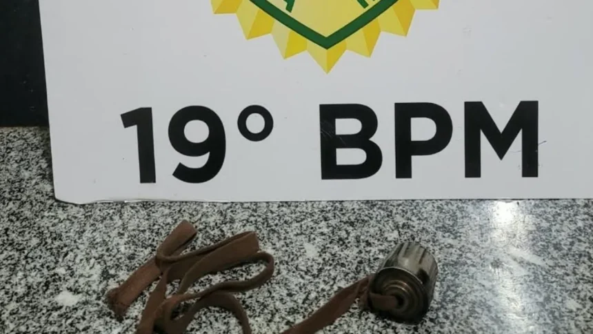 Menina de 9 anos é agredida com chicote de ferro por desconhecido no PR