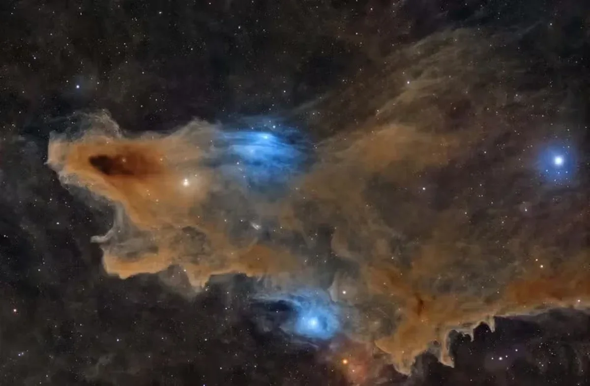 “The Quiet Predator”, registro da Nebulosa do Tubarão, levou o prêmio principal da edição de 2026