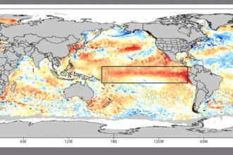 Brasília (DF), 18/06/2026 – EL NIÑO NO OCEANO. Ilustração Nottus/Divulgação