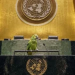 Israel chama críticos de "papagaios" na véspera de discurso na ONU