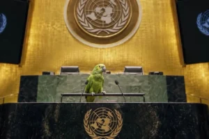 Israel chama críticos de "papagaios" na véspera de discurso na ONU