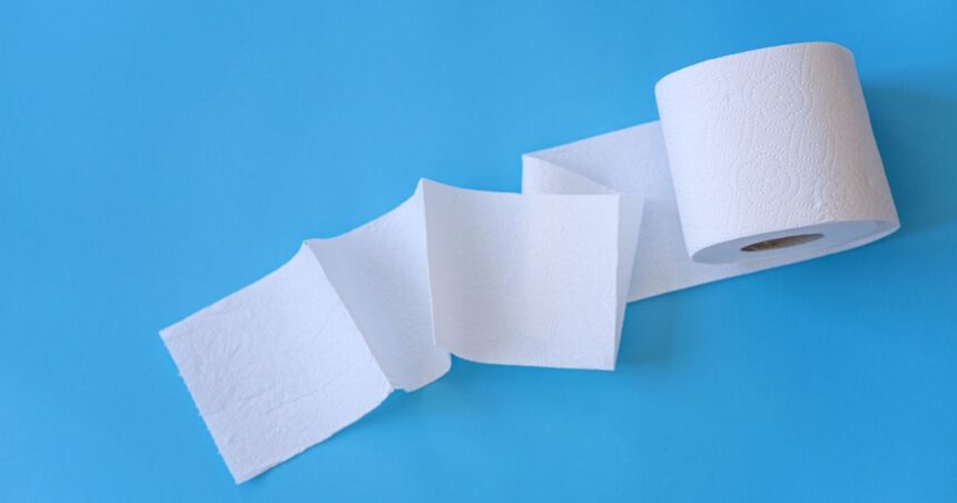 Rolo de papel higiênico dentro da geladeira