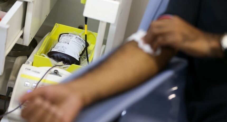 Apenas 1,4% da população brasileira doa sangue regularmente, aponta Ministério da Saúde