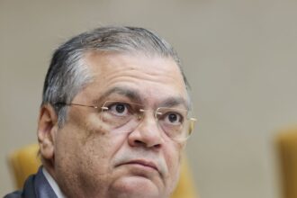 Ministro Flávio Dino em sessão plenária