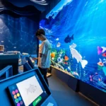 Museu da Imaginação em SP recebe espaço interativo sobre água e saneamento