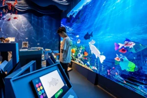 Museu da Imaginação em SP recebe espaço interativo sobre água e saneamento