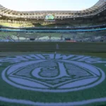 Jogadores em campo durante partida do Campeonato Brasileiro