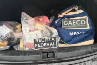 Frascos de perfumes em exposição