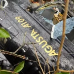 Parte do helicóptero que caiu em uma área de mata em Iaras (SP), na madrugada deste domingo
