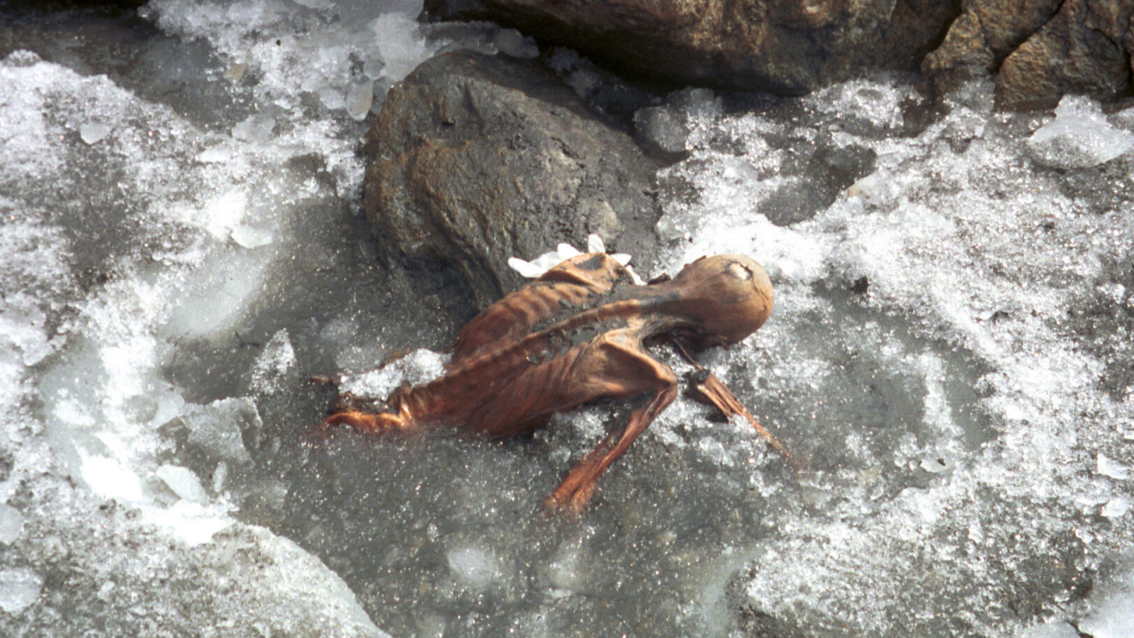 Ötzi aparece preservado no gelo no local onde foi encontrado nos Alpes