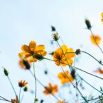 Primavera terá calor, El Niño forte e risco maior de tempestades
