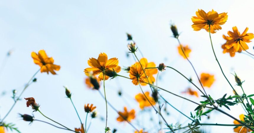 Primavera terá calor, El Niño forte e risco maior de tempestades