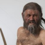 Ötzi completa 35 anos de descoberta e ainda revela segredos da pré-história
