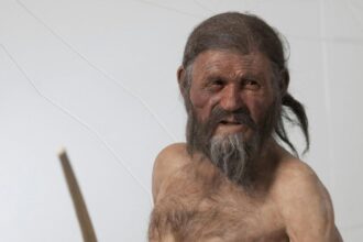 Ötzi completa 35 anos de descoberta e ainda revela segredos da pré-história