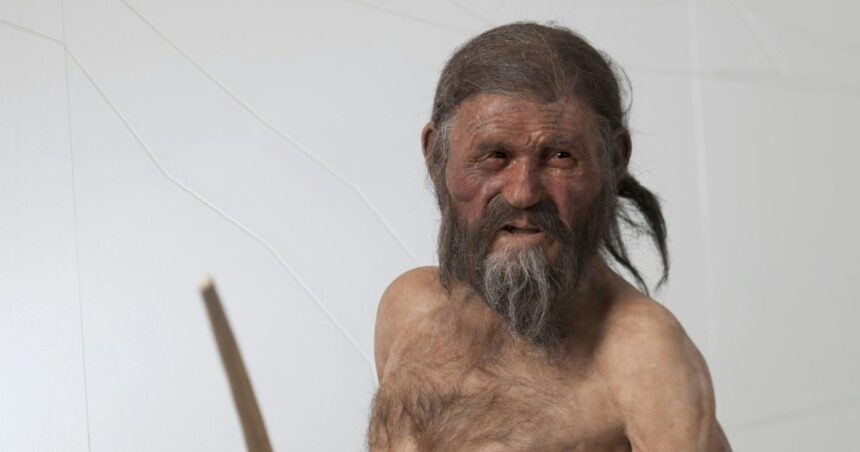 Ötzi completa 35 anos de descoberta e ainda revela segredos da pré-história