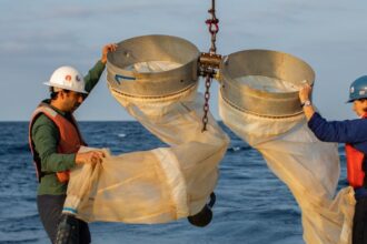 Experimento de alcalinidade oceânica no Golfo do Maine